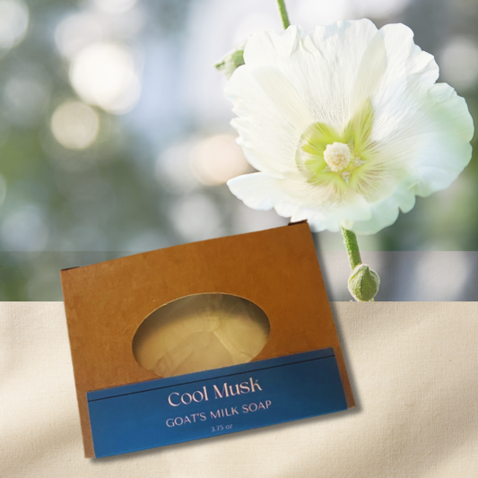 Goat's Milk Soap- Cool Musk