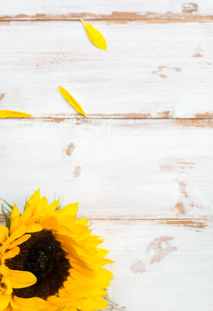 Sunflowers Composition Notebook