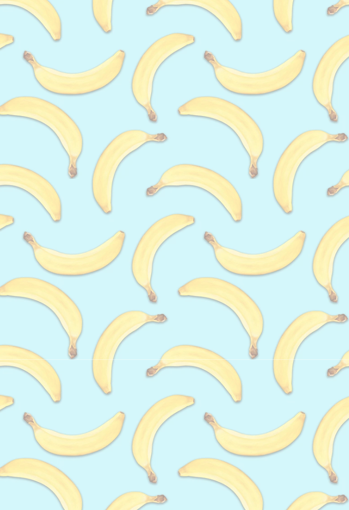 Blue Monkeys and Bananas- Composition Notebook