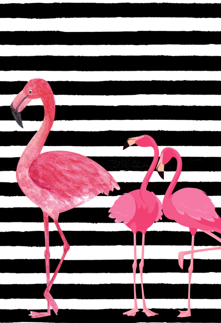 Summer Flamingo- Composition Notebook