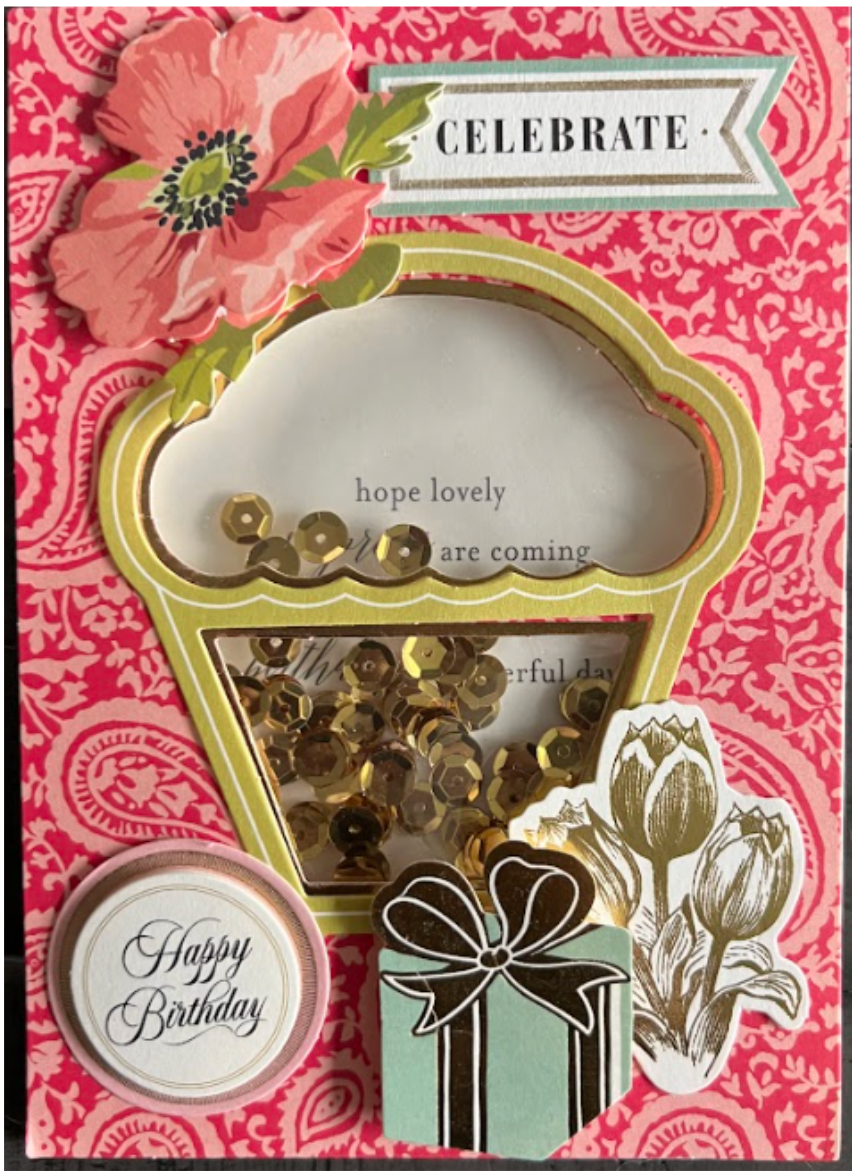Birthday Shaker Card